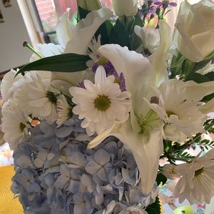 Meet your Posher, Sofia